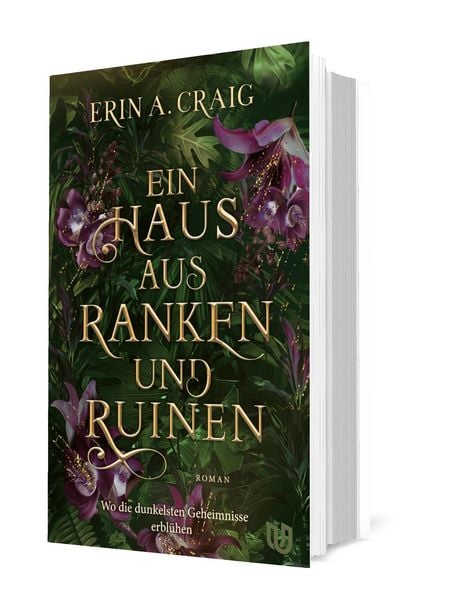 Produktbild: Ein Haus aus Ranken und Ruinen