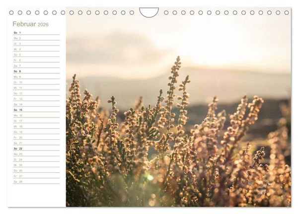 Produktbild: Der Sonne entgegen &ndash; Elbsandstein (Wandkalender 2026 DIN A4 quer), CALVENDO Monatskalender