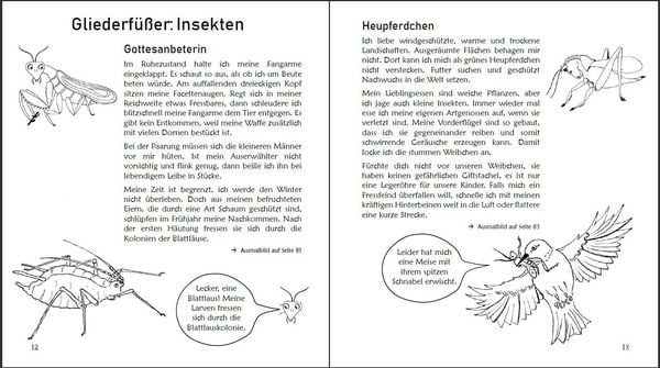 Produktbild: Ausmalspa&szlig; + Wissen: Fantatiere - Malbuch ab 6 Jahre. Artenvielfalt artgerecht erkunden f&uuml;r die ganze Familie. Empfohlen vom Naturschutzbund &Ouml;sterreich