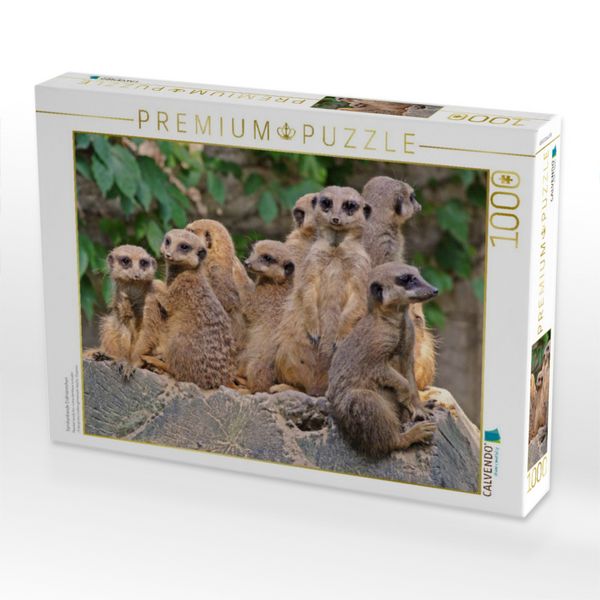 Produktbild: CALVENDO Puzzle Familienbande Erdm&auml;nnchen | 1000 Teile Lege-Gr&ouml;&szlig;e 64x48cm Foto-Puzzle f&uuml;r gl&uuml;ckliche Stunden