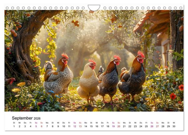 Produktbild: H&uuml;hner Federvieh (Wandkalender 2026 DIN A4 quer), CALVENDO Monatskalender
