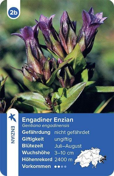 Produktbild: Flora Helvetica &ndash; das Quartett-Spiel