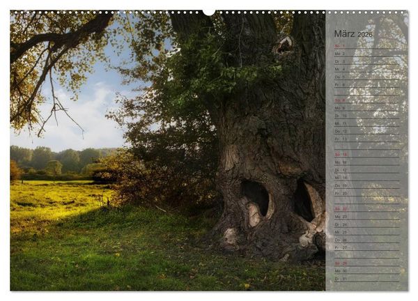 Produktbild: Unser Wald - Magische Sichten in norddeutsche W&auml;lder / Geburtstagskalender (hochwertiger Premium Wandkalender 2026 DIN A2 quer), Kunstdruck in Hochglanz