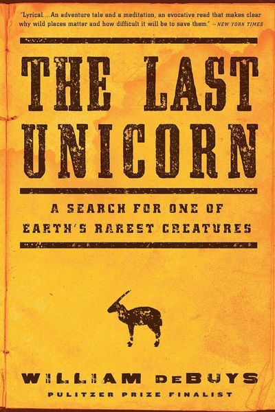 Produktbild: The Last Unicorn