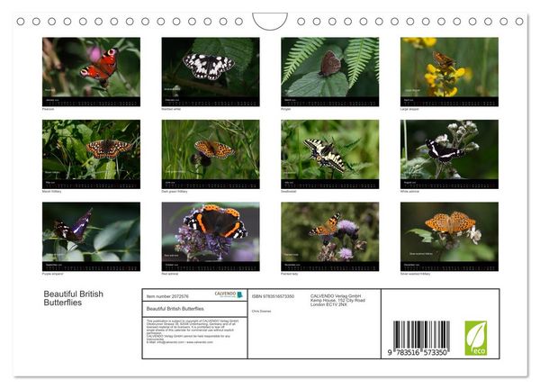 Produktbild: Beautiful British Butterflies (Wall Calendar 2026 DIN A4 landscape), CALVENDO 12 Month Wall Calendar