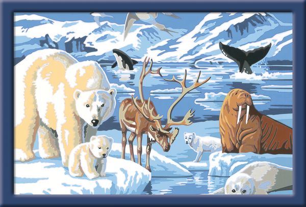Ravensburger - Malen nach Zahlen - Tiere der Arktis