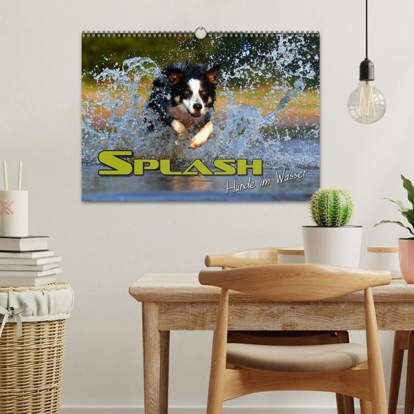 Produktbild: SPLASH - Hunde im Wasser (Wandkalender 2026 DIN A3 quer), CALVENDO Monatskalender