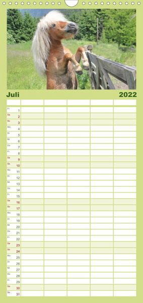 Produktbild: Familienplaner Alpenpferde (Wandkalender 2022 , 21 cm x 45 cm, hoch)
