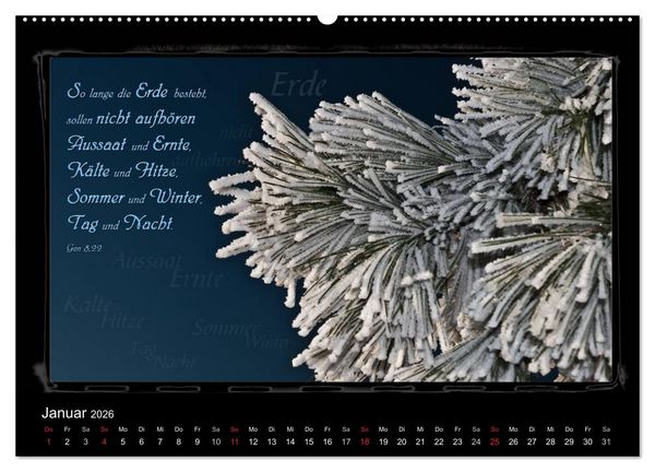 Produktbild: Monat f&uuml;r Monat ein Bibelvers (Wandkalender 2026 DIN A2 quer), CALVENDO Monatskalender