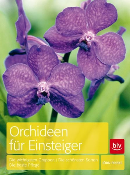 Orchideen für Einsteiger, Gebundene Ausgabe von Jörn Pinske, BLV ein Imprint von GRÄFE UND UNZER Verlag GmbH, 9783835408388
