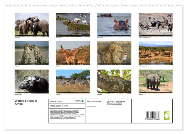 Produktbild: Wildes Leben in Afrika (hochwertiger Premium Wandkalender 2026 DIN A2 quer), Kunstdruck in Hochglanz