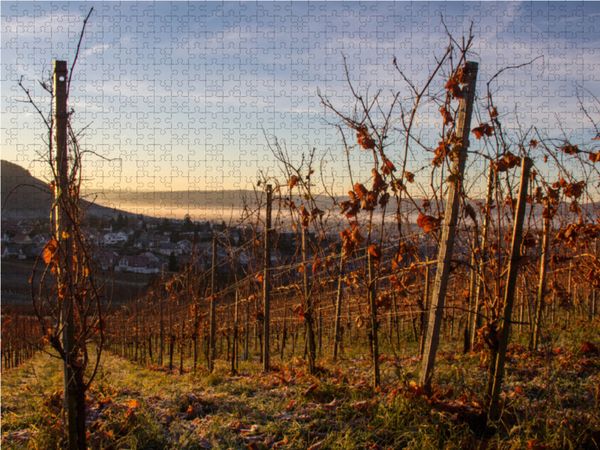 Produktbild: CALVENDO Puzzle Weinberg Korber H&ouml;he | 1000 Teile Lege-Gr&ouml;&szlig;e 64x48cm Foto-Puzzle f&uuml;r gl&uuml;ckliche Stunden