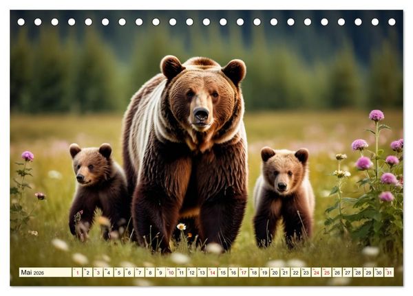 Produktbild: Gro&szlig;e und kleine B&auml;ren (Tischkalender 2026 DIN A5 quer), CALVENDO Monatskalender