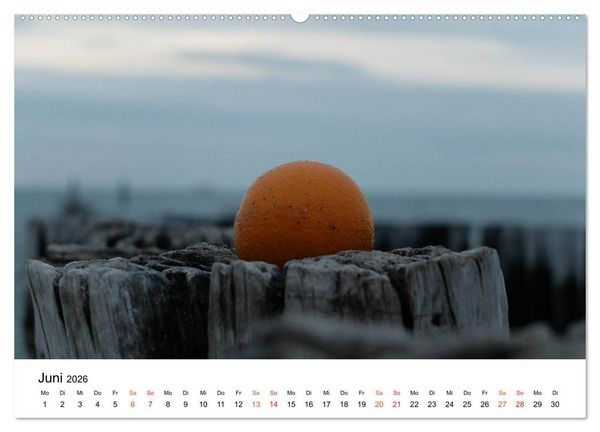 Produktbild: Wieder an der Nordsee (Wandkalender 2026 DIN A2 quer), CALVENDO Monatskalender