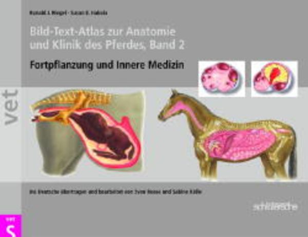 Bild-Text-Atlas zur Anatomie und Klinik des Pferdes, Gebundene Ausgabe von Ronald Riegel,Susan Hakola, Schlütersche Verlag, 978-3-87706-652-2