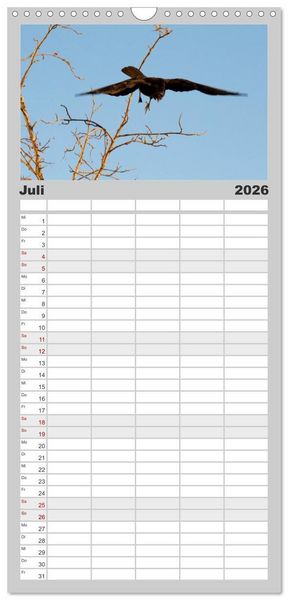 Produktbild: Familienplaner 2026 - Rabenschwarze Impressionen - meike-ajo-dettlaff.de via wildvogelhlfe.org mit 5 Spalten (Wandkalender, 21 x 45 cm) CALVENDO