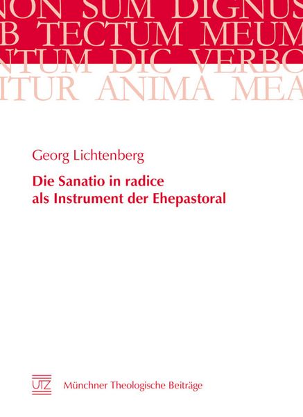 Produktbild: Die Sanatio in radice als Instrument der Ehepastoral