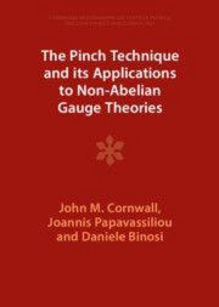 Produktbild: The Pinch Technique and its Applications to Non-Abelian Gauge Theories