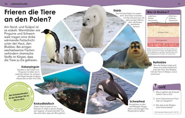 Produktbild: Weshalb? Deshalb! Meere
