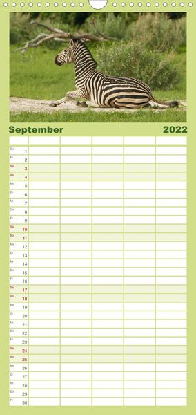 Produktbild: Familienplaner Zebras - Faszination der Wildnis (Wandkalender 2022 , 21 cm x 45 cm, hoch)