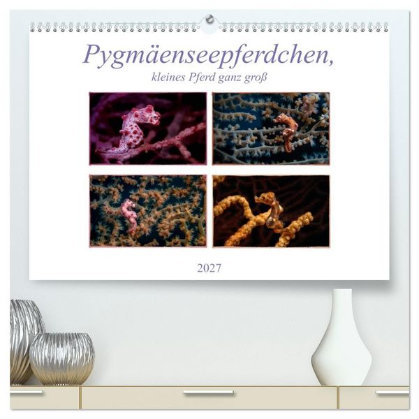 Produktbild: Pygm&auml;enseepferdchen, kleines Pferd ganz gro&szlig; (hochwertiger Premium Wandkalender 2027 DIN A2 quer), Kunstdruck in Hochglanz