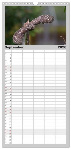 Produktbild: Familienplaner 2026 - V&ouml;gel, Gefiederte Sch&ouml;nheiten mit 5 Spalten (Wandkalender, 21 x 45 cm) CALVENDO