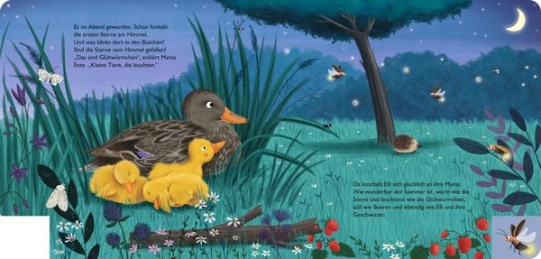 Produktbild: Mein erstes Jahreszeitenbuch: Elli, die kleine Ente