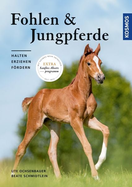 Produktbild: Fohlen und Jungpferde
