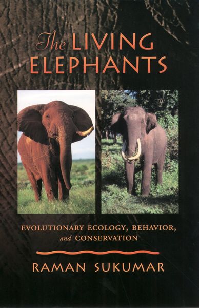 Produktbild: The Living Elephants
