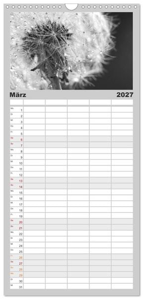 Produktbild: Familienplaner 2027 - Pusteblume - Impressionen in schwarzwei&szlig; mit 5 Spalten (Wandkalender, 21 x 45 cm) CALVENDO