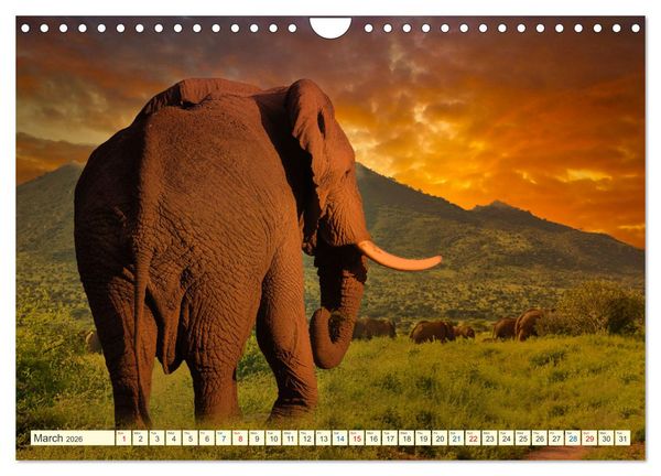 Produktbild: Fantastic Kenya (Wall Calendar 2026 DIN A4 landscape), CALVENDO 12 Month Wall Calendar