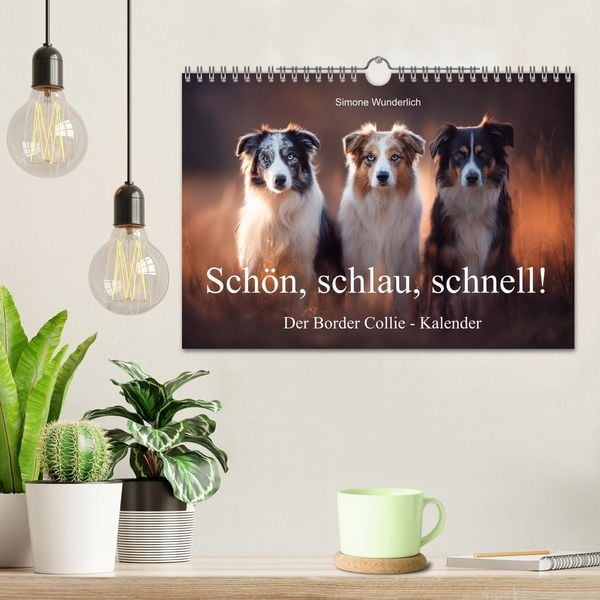 Produktbild: Sch&ouml;n, schlau, schnell! - Der Border Collie - Kalender (Wandkalender 2026 DIN A4 quer), CALVENDO Monatskalender