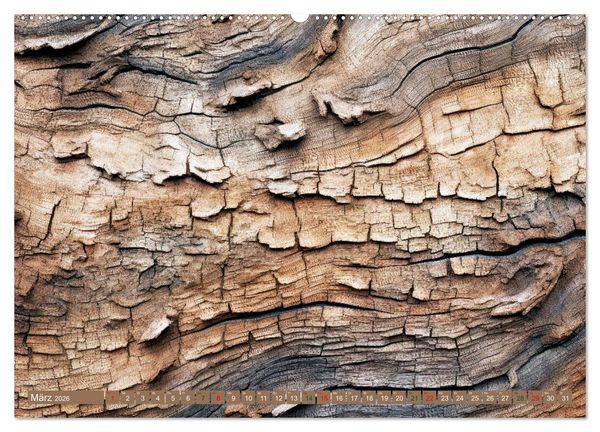 Produktbild: Faszination HOLZ - Strukturen (hochwertiger Premium Wandkalender 2026 DIN A2 quer), Kunstdruck in Hochglanz