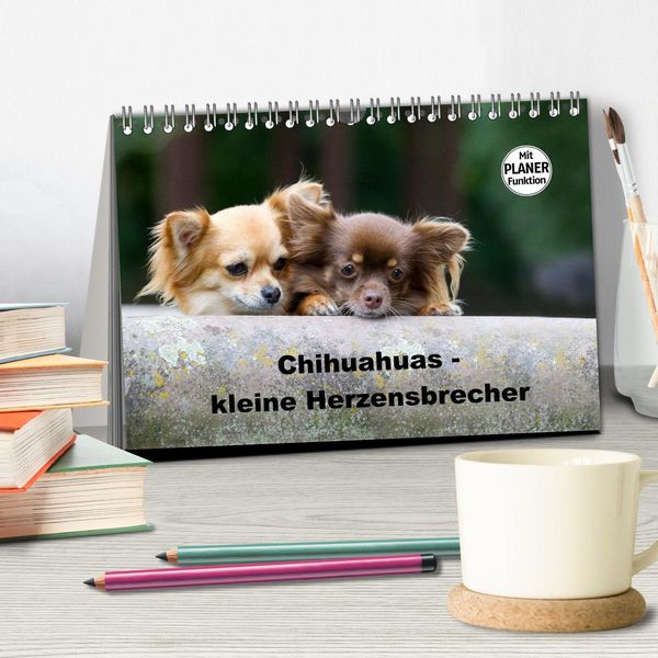 Produktbild: Chihuahuas - kleine Herzensbrecher (Tischkalender 2026 DIN A5 quer), CALVENDO Monatskalender