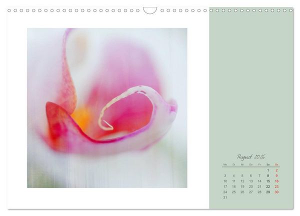 Produktbild: Bl&uuml;tentr&auml;ume (Wandkalender 2026 DIN A3 quer), CALVENDO Monatskalender