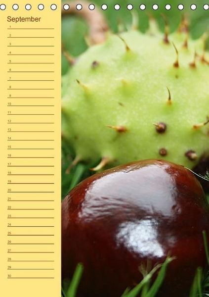 Produktbild: Der Geburtstagskalender (Tischkalender immerw&auml;hrend DIN A5 hoch)