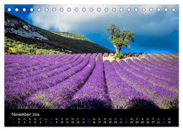 Produktbild: Provence - Lavendelbl&uuml;te (Tischkalender 2026 DIN A5 quer), CALVENDO Monatskalender