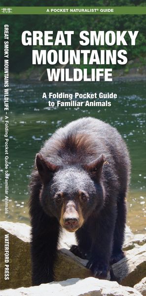 Produktbild: Great Smoky Mountains Wildlife