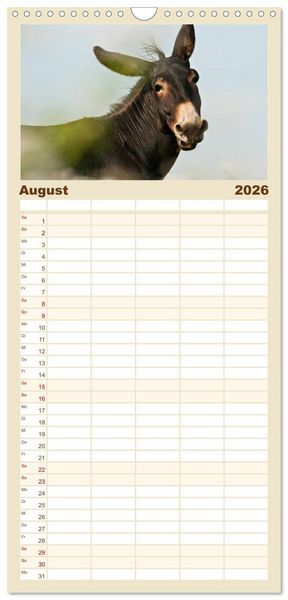 Produktbild: Familienplaner 2026 - Esel - Sixtus Loreley mit 5 Spalten (Wandkalender, 21 x 45 cm) CALVENDO
