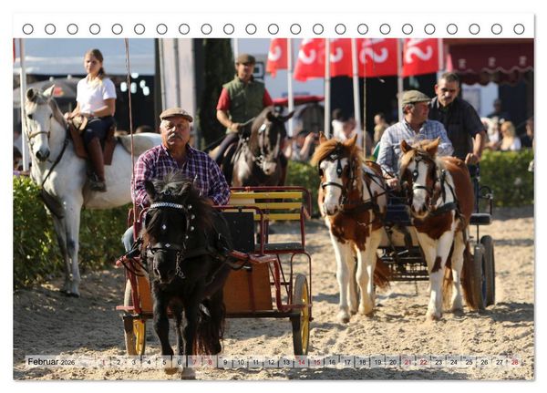 Produktbild: Portugal - Pferdefestival von Goleg&atilde; (Tischkalender 2026 DIN A5 quer), CALVENDO Monatskalender