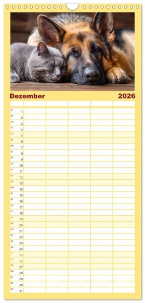 Produktbild: Familienplaner 2026 - Hund und Katze - Tierische Freunde mit 5 Spalten (Wandkalender, 21 x 45 cm) CALVENDO
