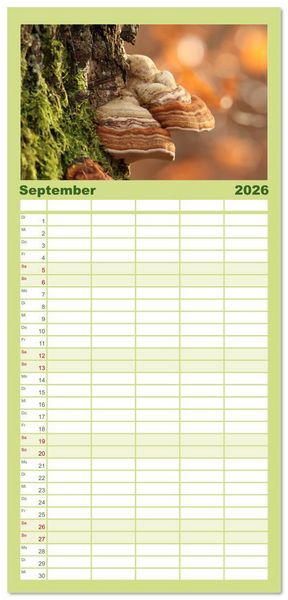 Produktbild: Familienplaner 2026 - Wundersame Pilzwelten mit 5 Spalten (Wandkalender, 21 x 45 cm) CALVENDO