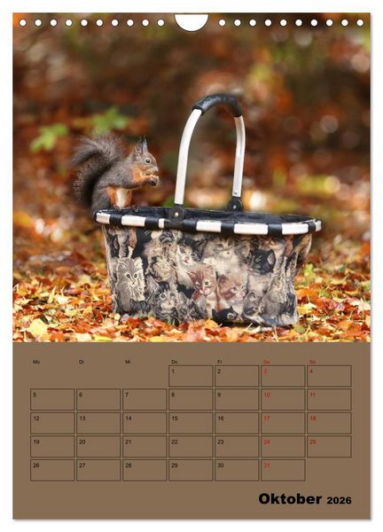 Produktbild: Eichh&ouml;rnchen - Planer (Wandkalender 2026 DIN A4 hoch), CALVENDO Monatskalender