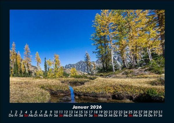 Produktbild: B&auml;ume 2026 Fotokalender DIN A5