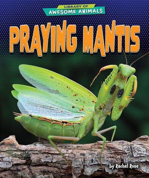 Produktbild: Praying Mantis