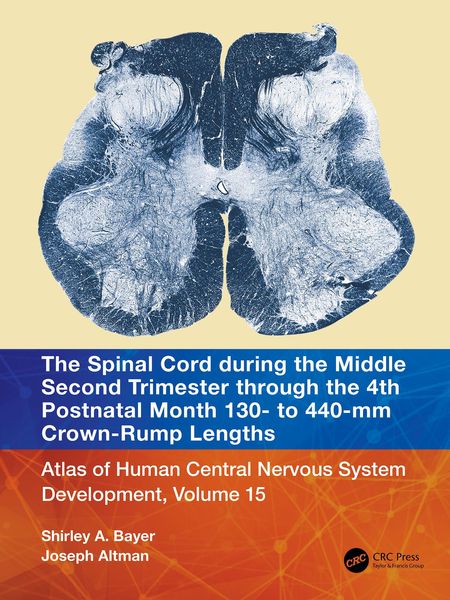Produktbild: The Spinal Cord during the Middle Second Trimester through the 4th Postnatal Month 130- to 440-mm Crown-Rump Lengths