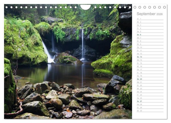 Produktbild: Im Deutschen Wald 2026 - ein Notizkalender (Wandkalender 2026 DIN A4 quer), CALVENDO Monatskalender