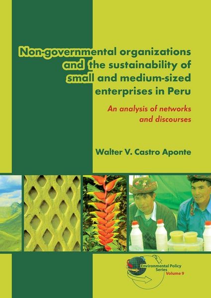 Produktbild: Non-Governmental Organizations and the Sustainability of Small and Medium-Sized Enterprises in Peru