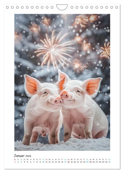 Produktbild: Schwein gehabt (Wandkalender 2026 DIN A4 hoch), CALVENDO Monatskalender