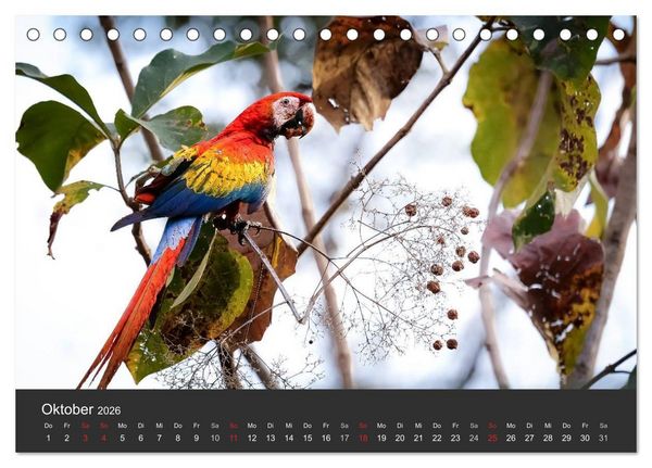 Produktbild: Costa Rica 2026 Exotische Vogelwelt (Tischkalender 2026 DIN A5 quer), CALVENDO Monatskalender